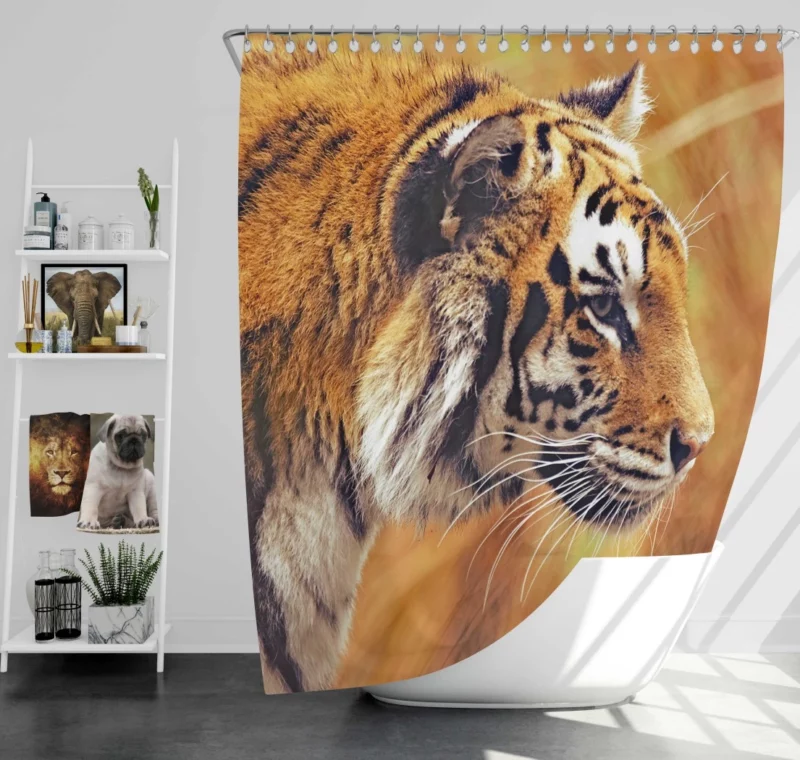 Tiger Intense Stare Wild Intrigue Shower Curtain