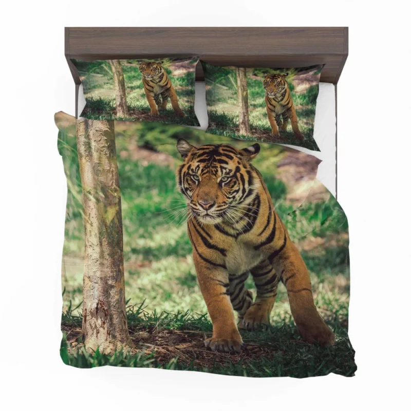 Tiger Intense Stare Wilderness Gaze Bedding Set 1