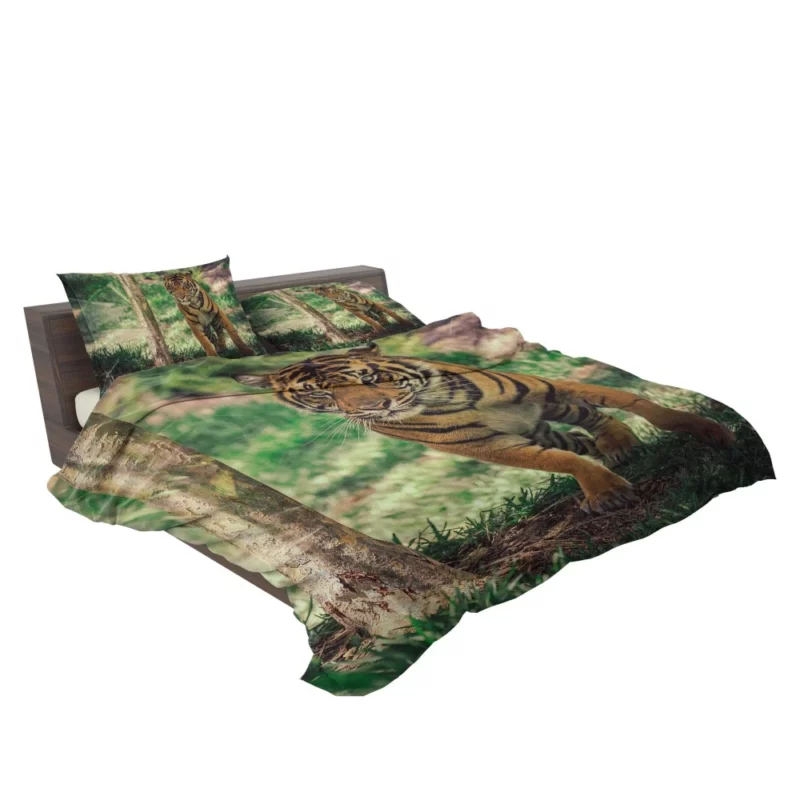 Tiger Intense Stare Wilderness Gaze Bedding Set 2