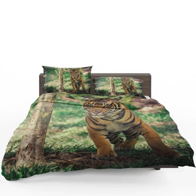 Tiger Intense Stare Wilderness Gaze Bedding Set