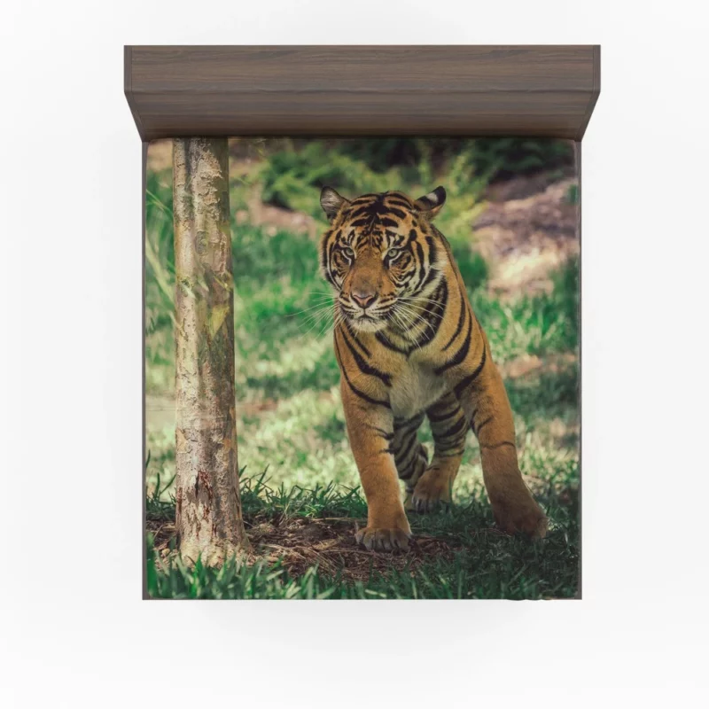 Tiger Intense Stare Wilderness Gaze Fitted Sheet 1