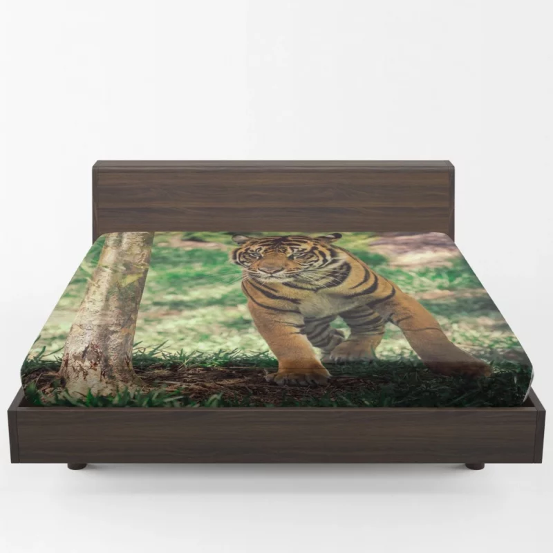 Tiger Intense Stare Wilderness Gaze Fitted Sheet