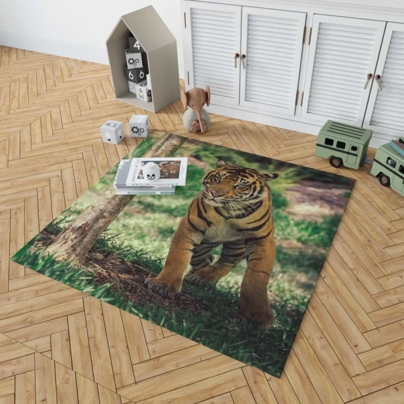 Tiger Intense Stare Wilderness Gaze Rug 1