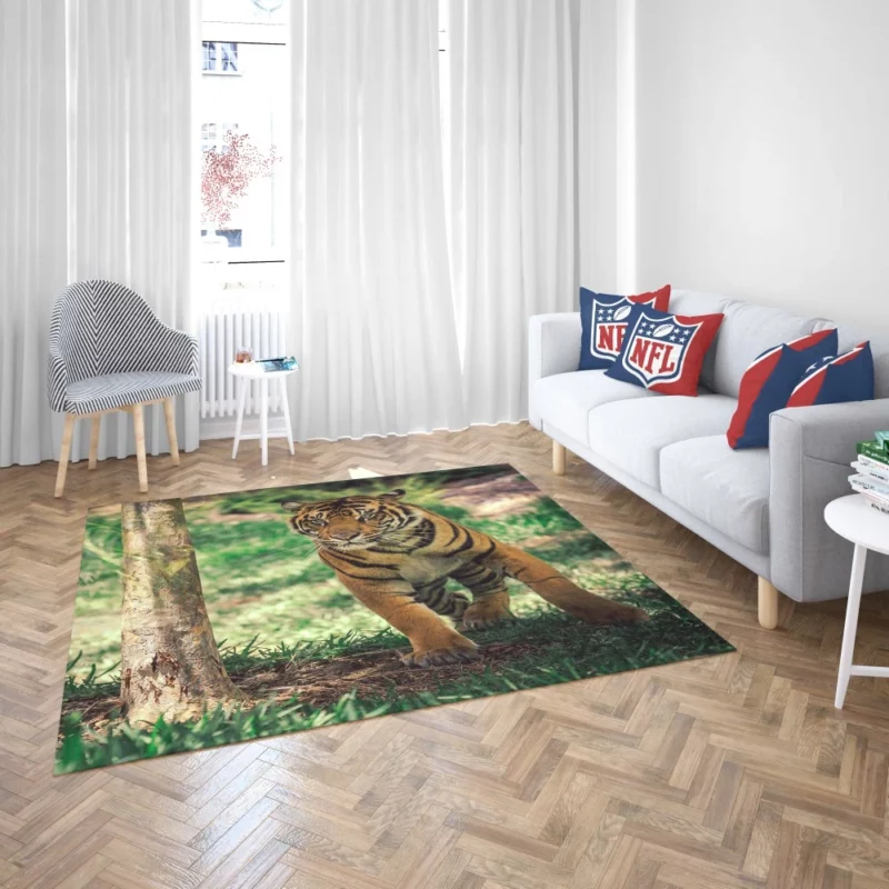 Tiger Intense Stare Wilderness Gaze Rug 2