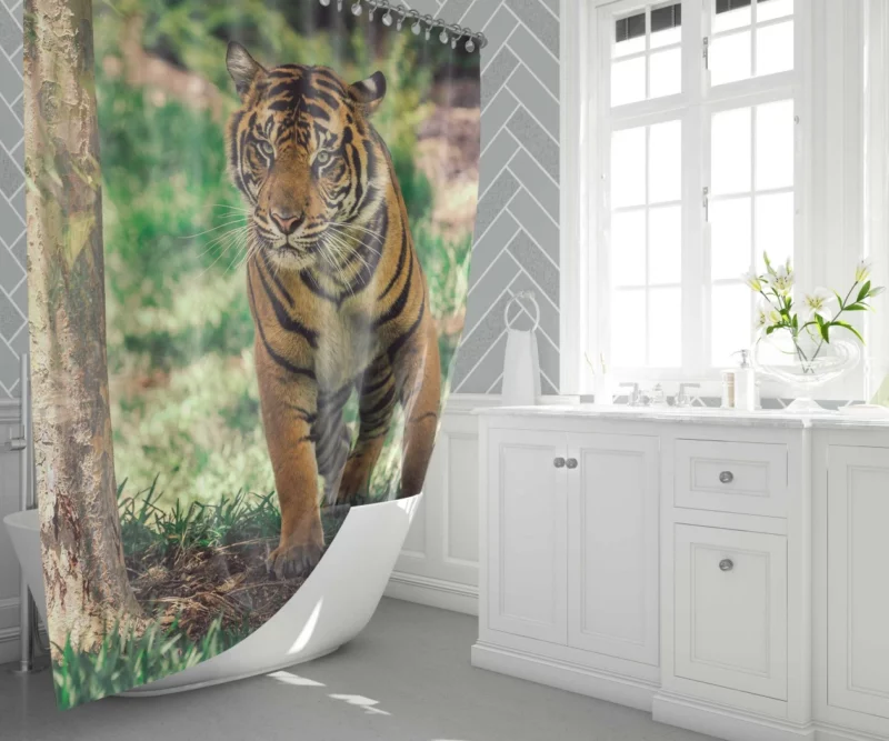 Tiger Intense Stare Wilderness Gaze Shower Curtain 1