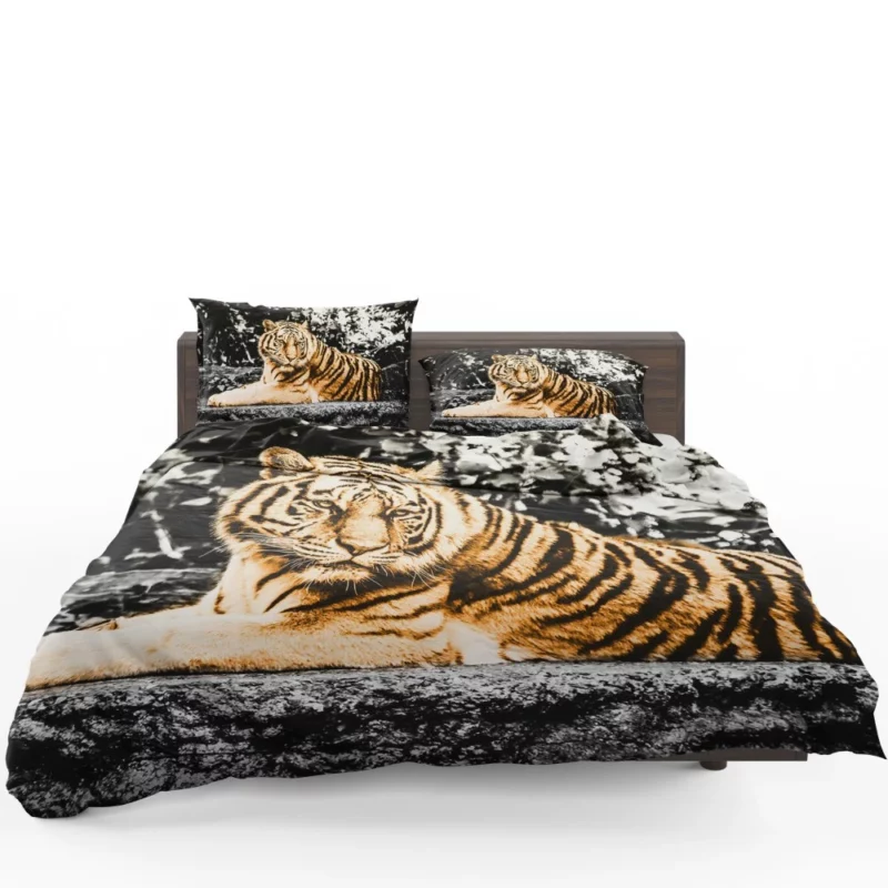 Tiger Laid-Back Majesty Bedding Set