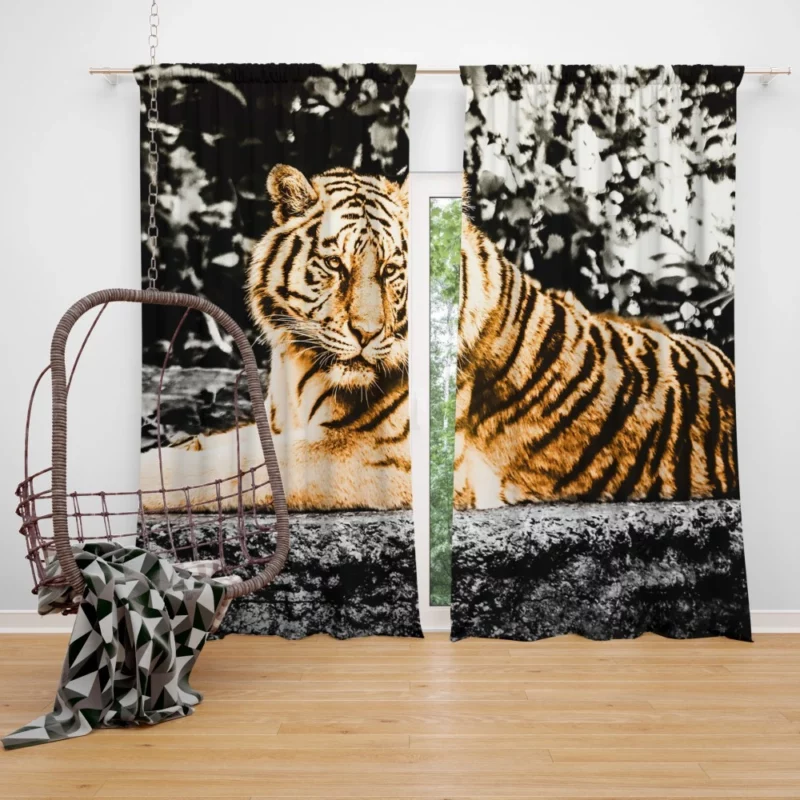 Tiger Laid-Back Majesty Curtain