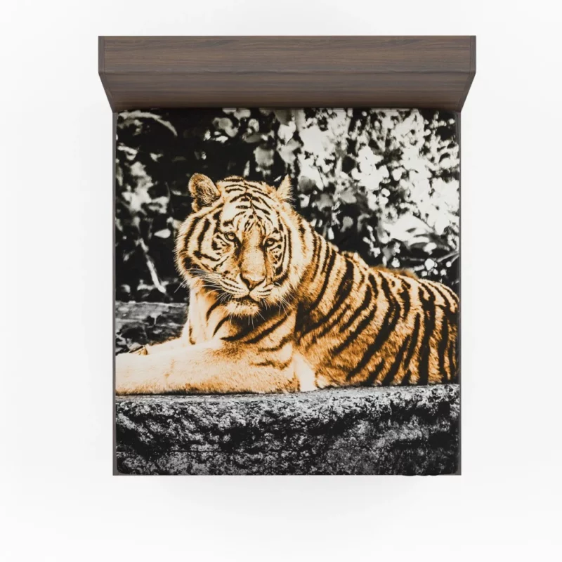 Tiger Laid-Back Majesty Fitted Sheet 1