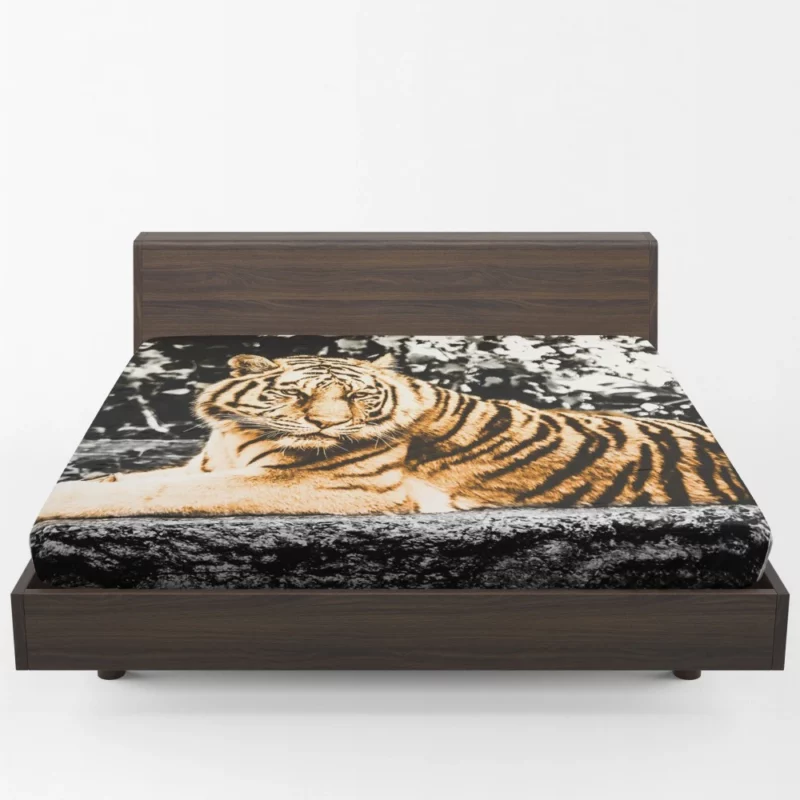 Tiger Laid-Back Majesty Fitted Sheet