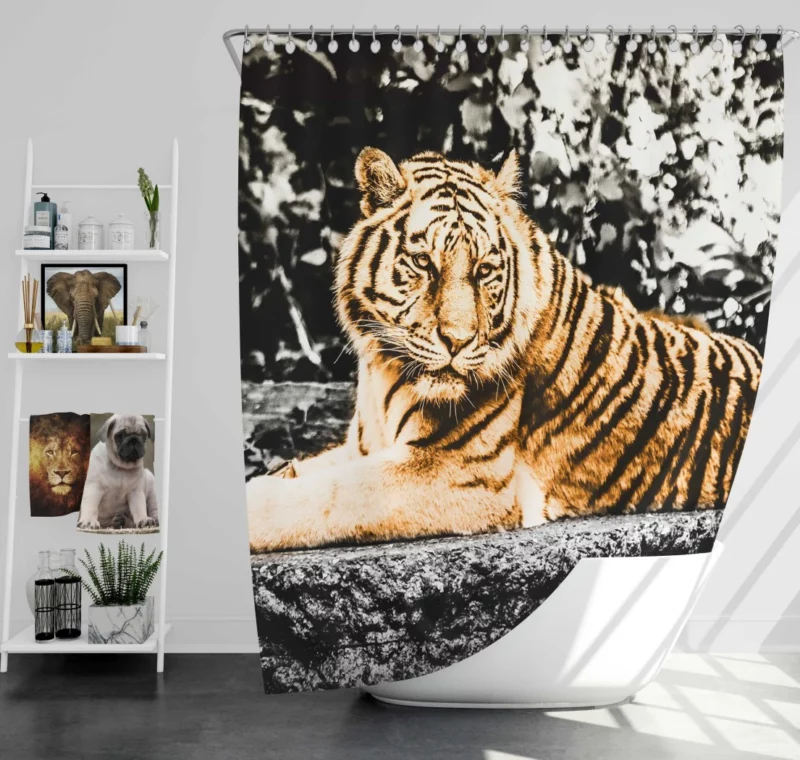 Tiger Laid-Back Majesty Shower Curtain