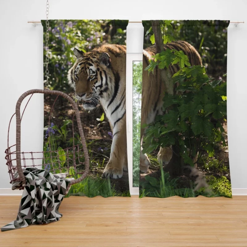 Tiger Majestic Curtain