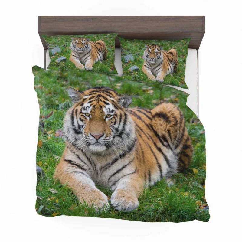 Tiger Majestic Mystery Bedding Set 1