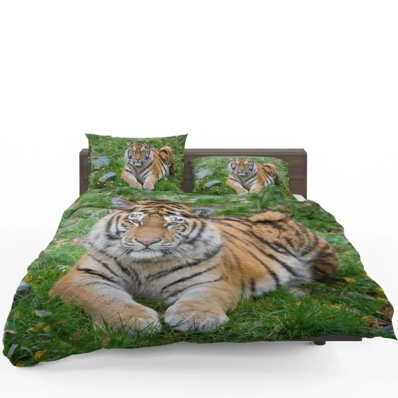 Tiger Majestic Mystery Bedding Set