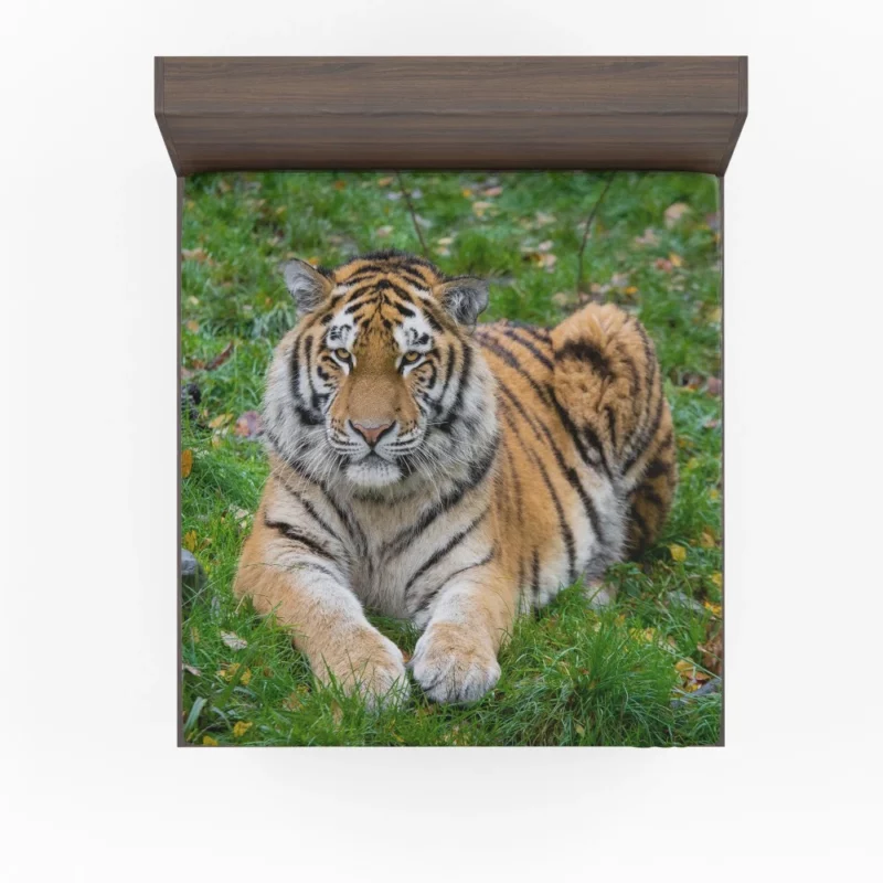 Tiger Majestic Mystery Fitted Sheet 1