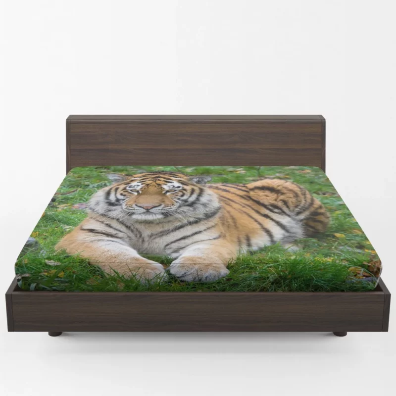 Tiger Majestic Mystery Fitted Sheet