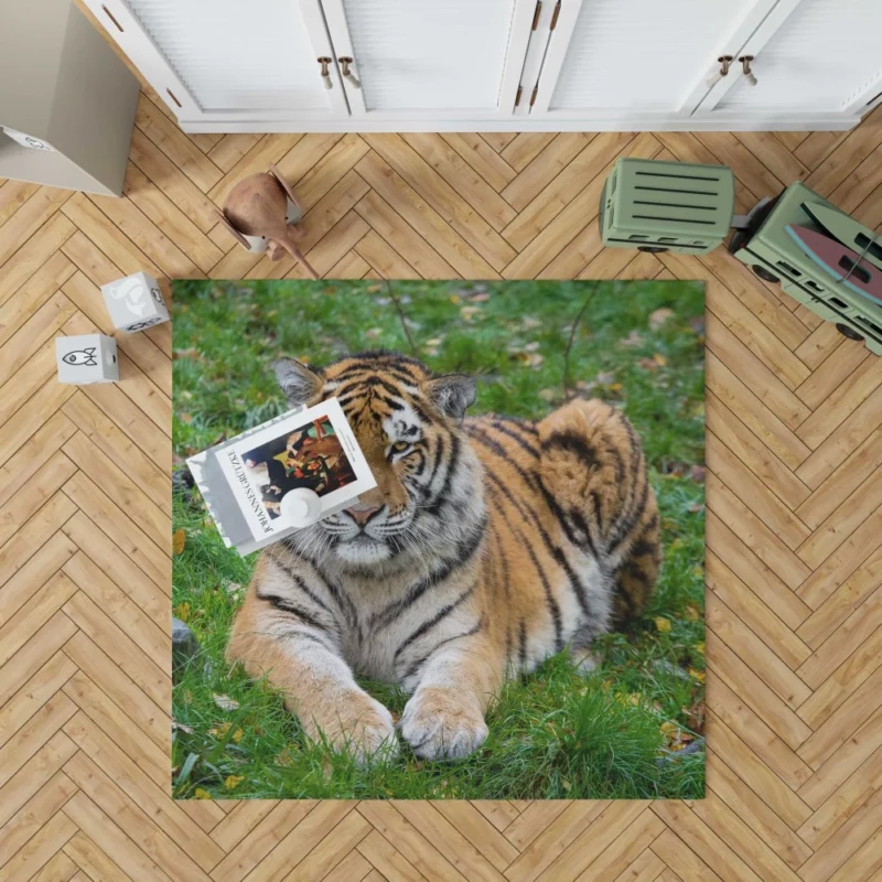 Tiger Majestic Mystery Rug