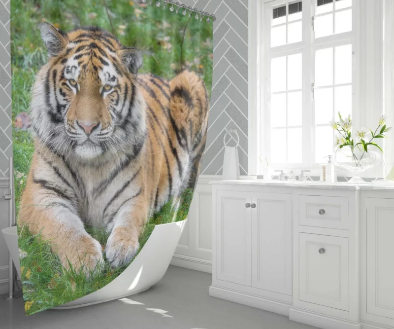 Tiger Majestic Mystery Shower Curtain 1