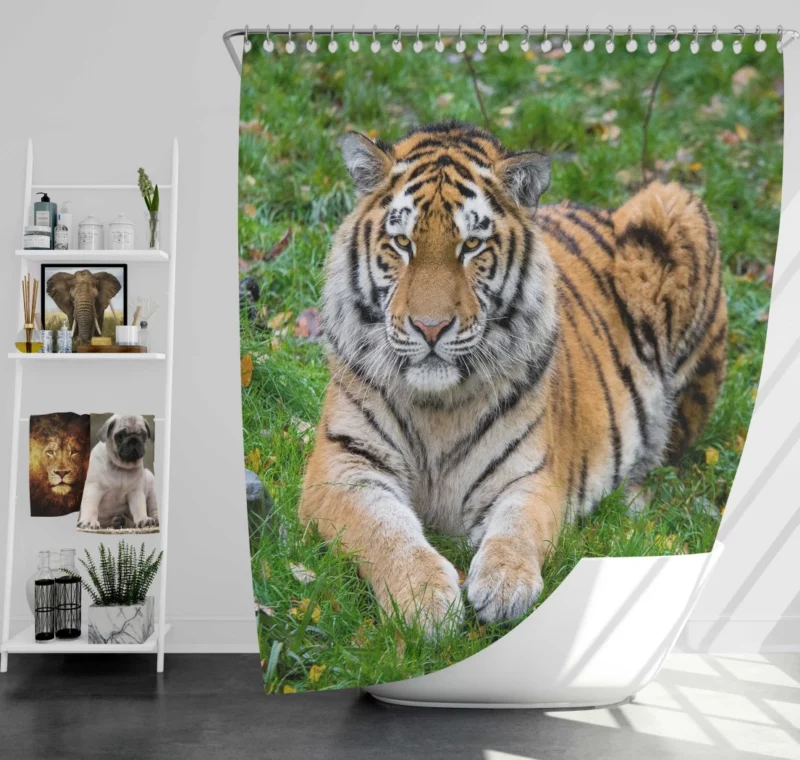 Tiger Majestic Mystery Shower Curtain