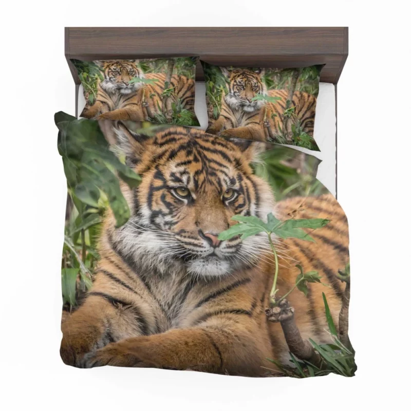 Tiger Majestic Power Bedding Set 1