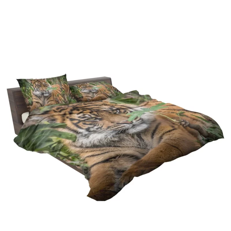 Tiger Majestic Power Bedding Set 2