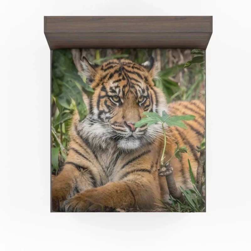 Tiger Majestic Power Fitted Sheet 1