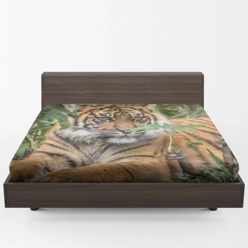 Tiger Majestic Power Fitted Sheet