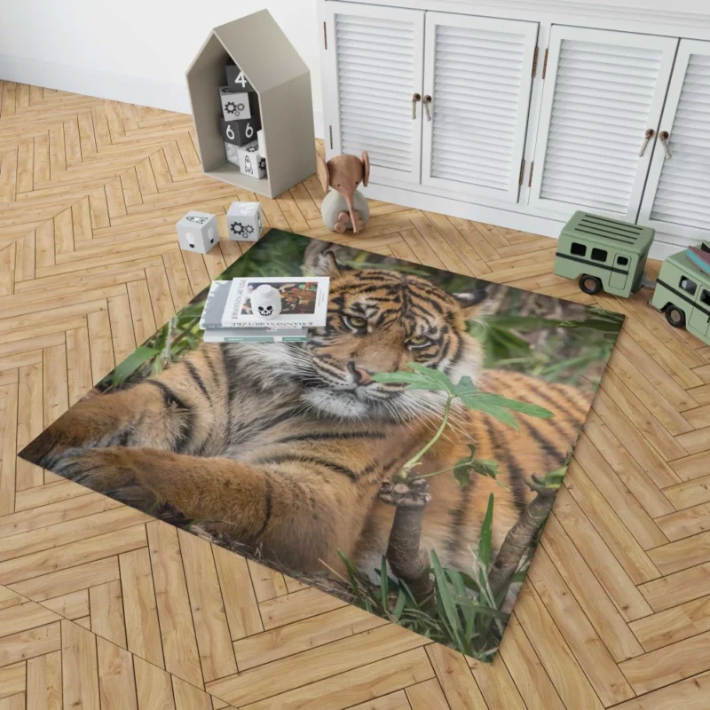 Tiger Majestic Power Rug 1