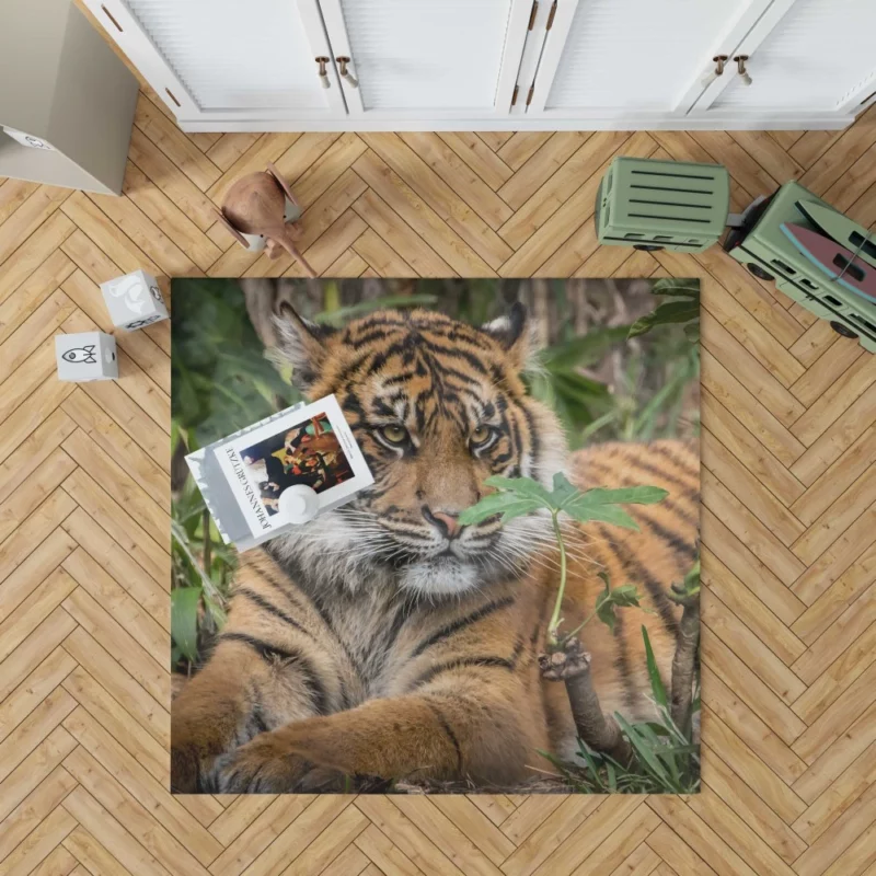 Tiger Majestic Power Rug