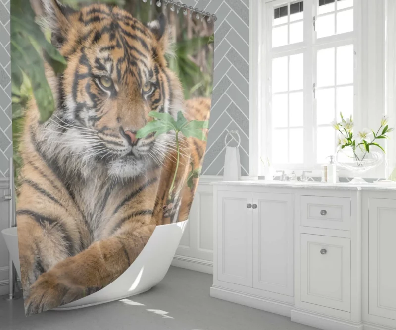 Tiger Majestic Power Shower Curtain 1