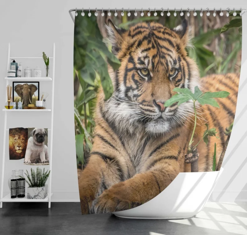 Tiger Majestic Power Shower Curtain