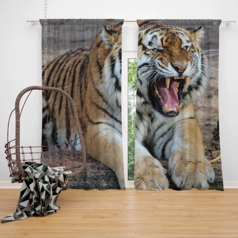 Tiger Mighty Roar Wild Majesty Curtain