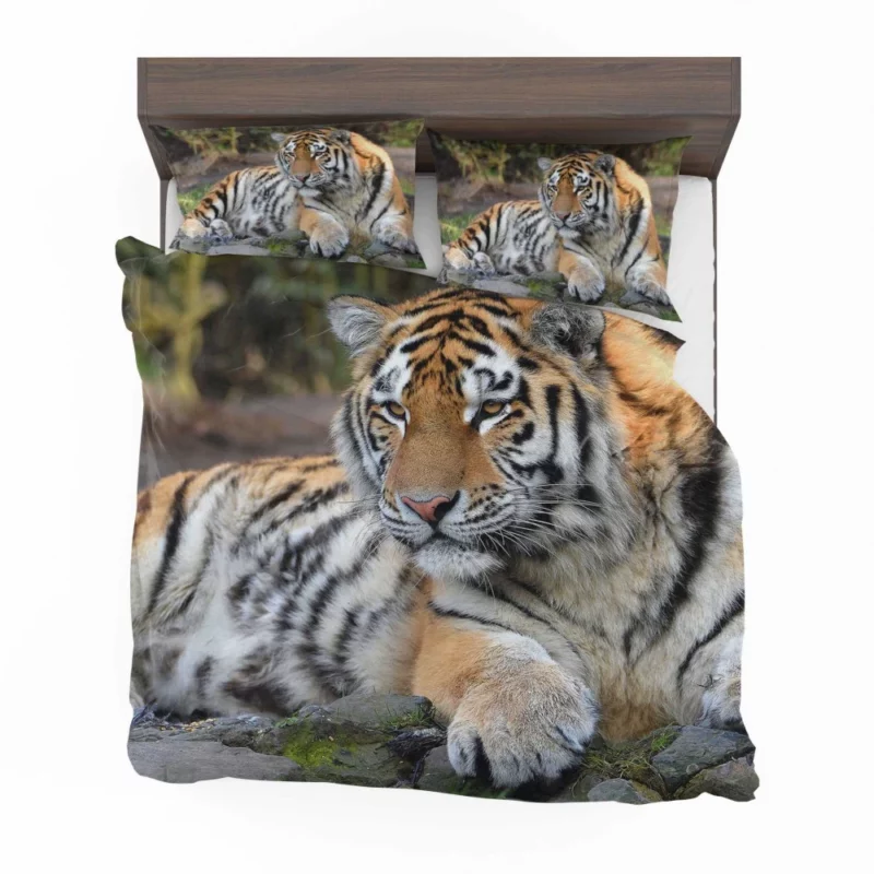 Tiger Mysterious Bedding Set 1