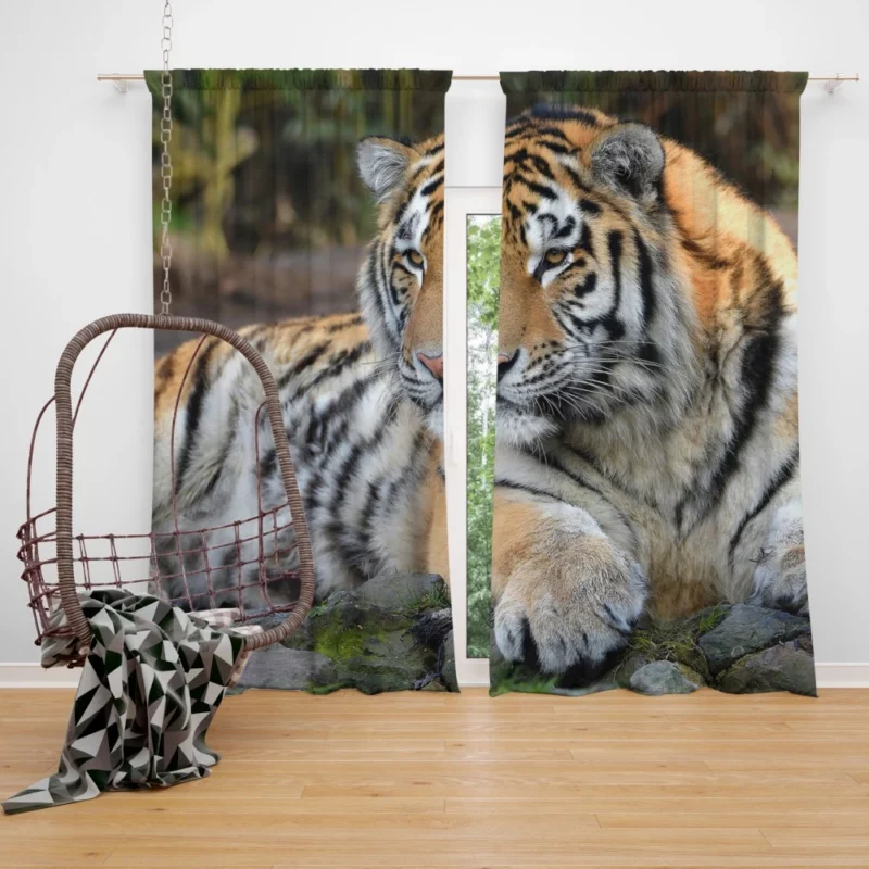 Tiger Mysterious Curtain