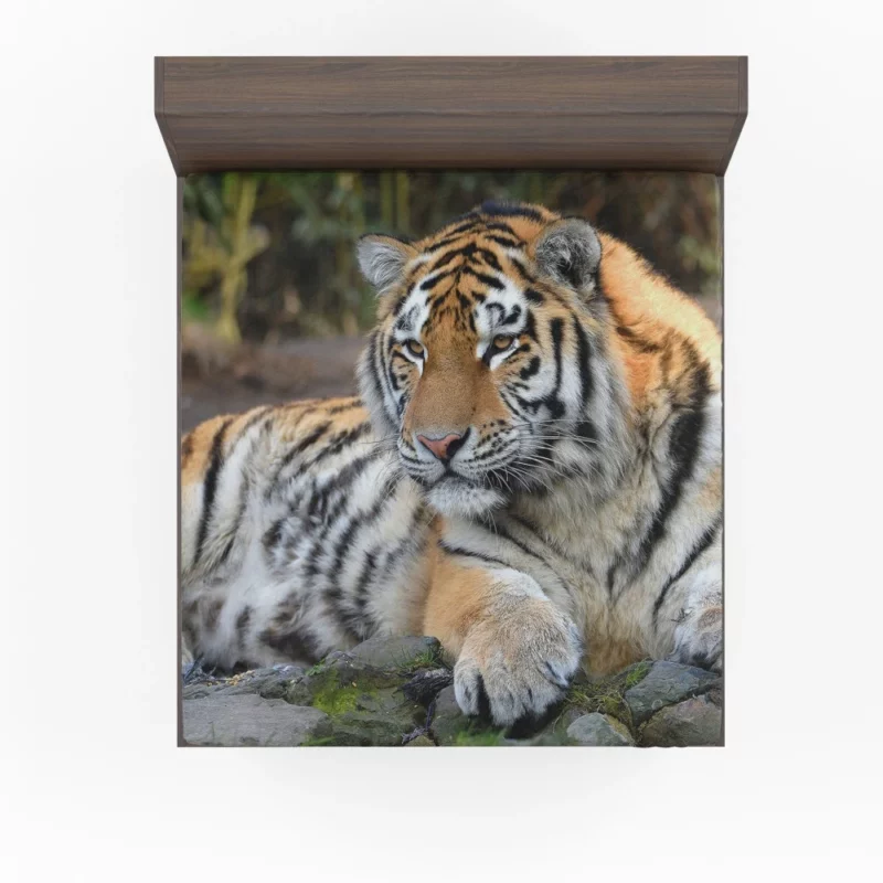 Tiger Mysterious Fitted Sheet 1