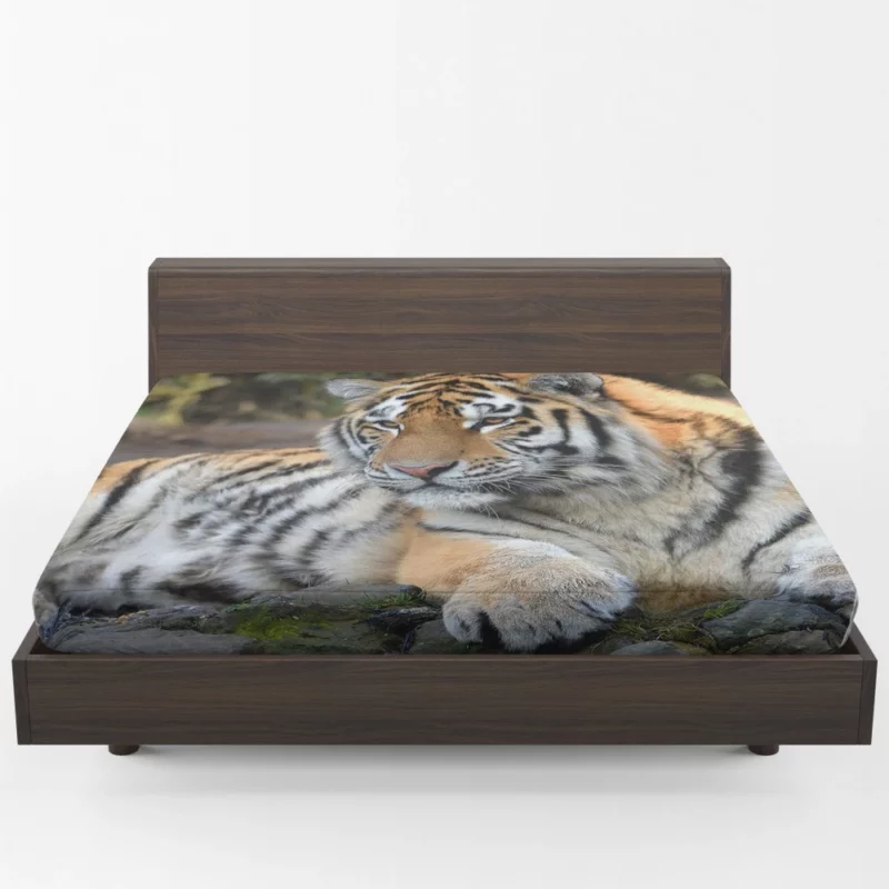 Tiger Mysterious Fitted Sheet