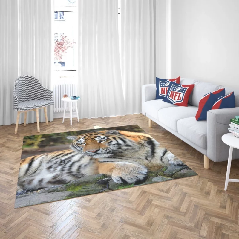 Tiger Mysterious Rug 2