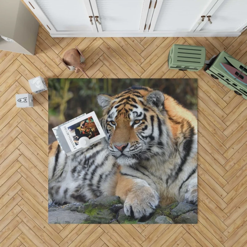 Tiger Mysterious Rug