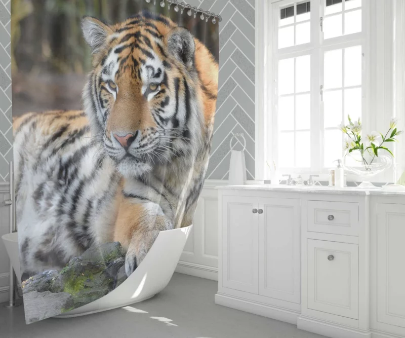 Tiger Mysterious Shower Curtain 1