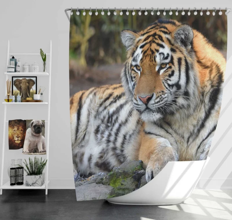 Tiger Mysterious Shower Curtain