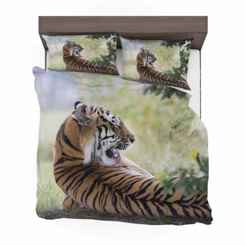 Tiger Mystic Gaze Enigmatic Majesty Bedding Set 1