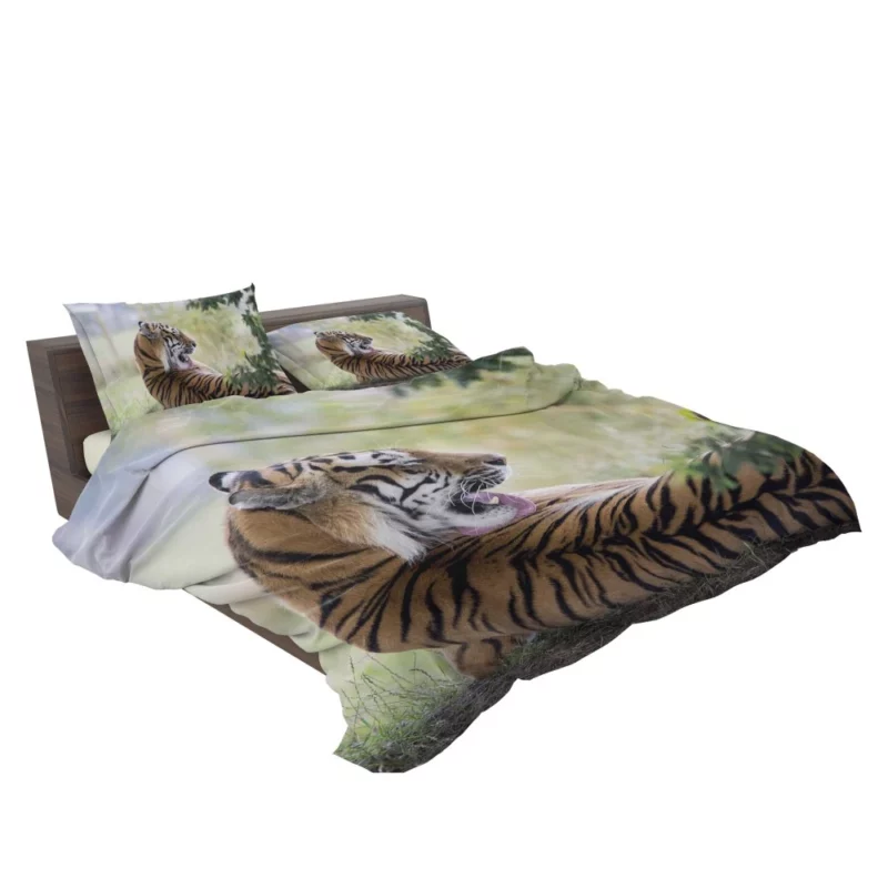 Tiger Mystic Gaze Enigmatic Majesty Bedding Set 2