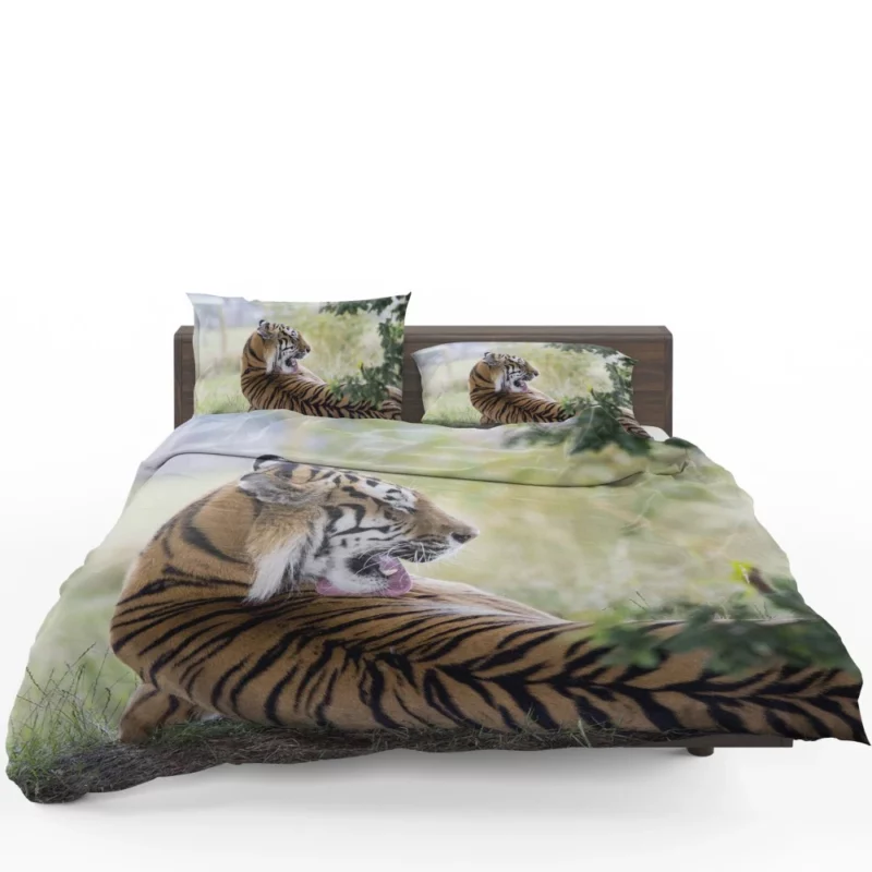 Tiger Mystic Gaze Enigmatic Majesty Bedding Set