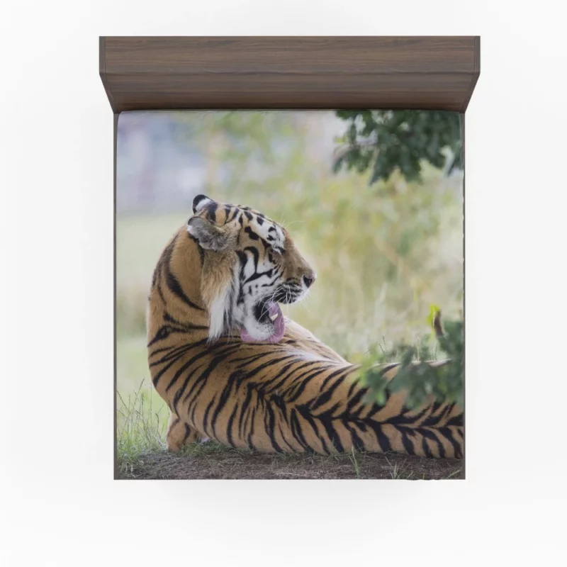 Tiger Mystic Gaze Enigmatic Majesty Fitted Sheet 1