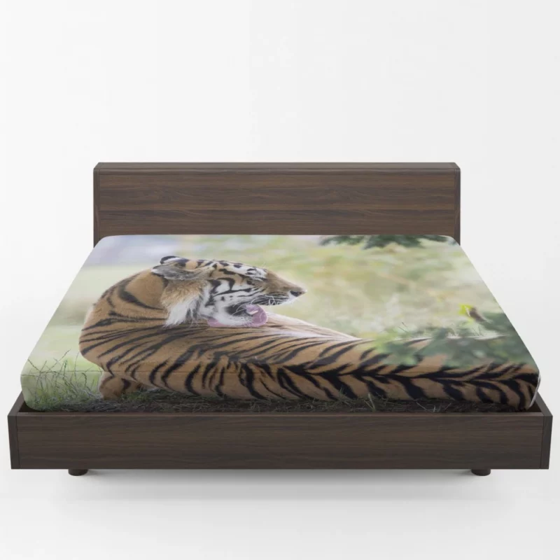 Tiger Mystic Gaze Enigmatic Majesty Fitted Sheet