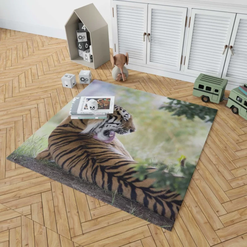 Tiger Mystic Gaze Enigmatic Majesty Rug 1