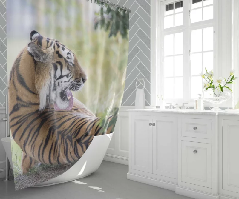 Tiger Mystic Gaze Enigmatic Majesty Shower Curtain 1