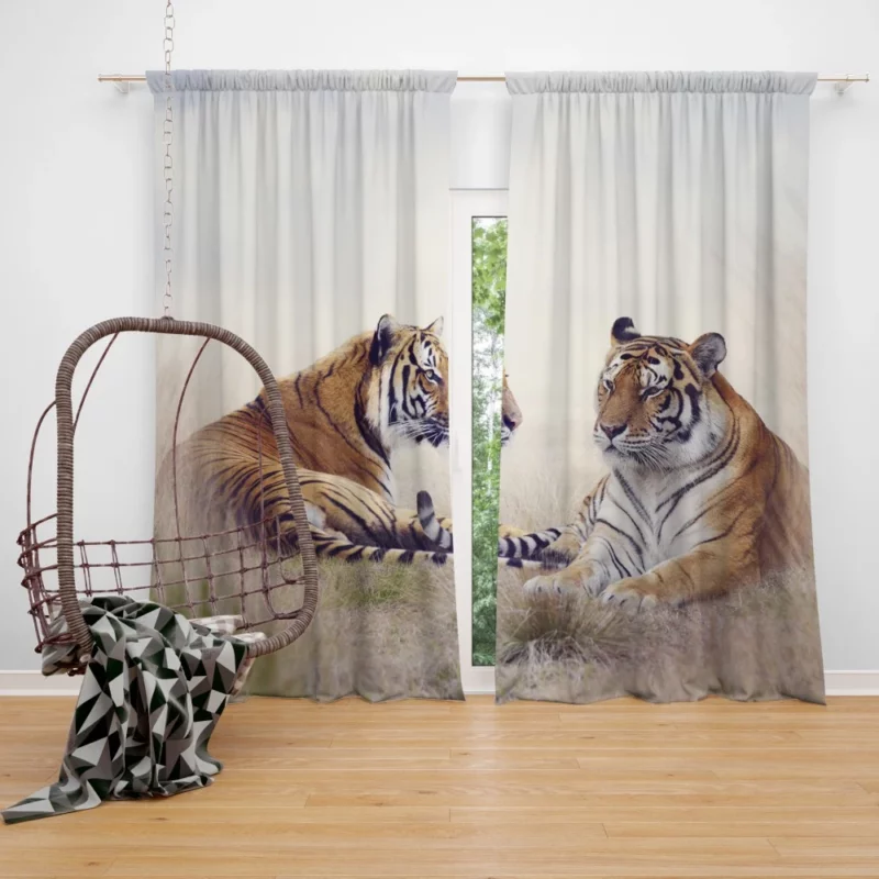 Tiger Mystic Gaze Untamed Majesty Curtain