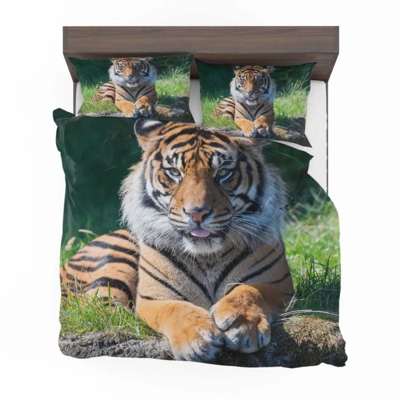 Tiger Penetrating Gaze Enigmatic Beauty Bedding Set 1