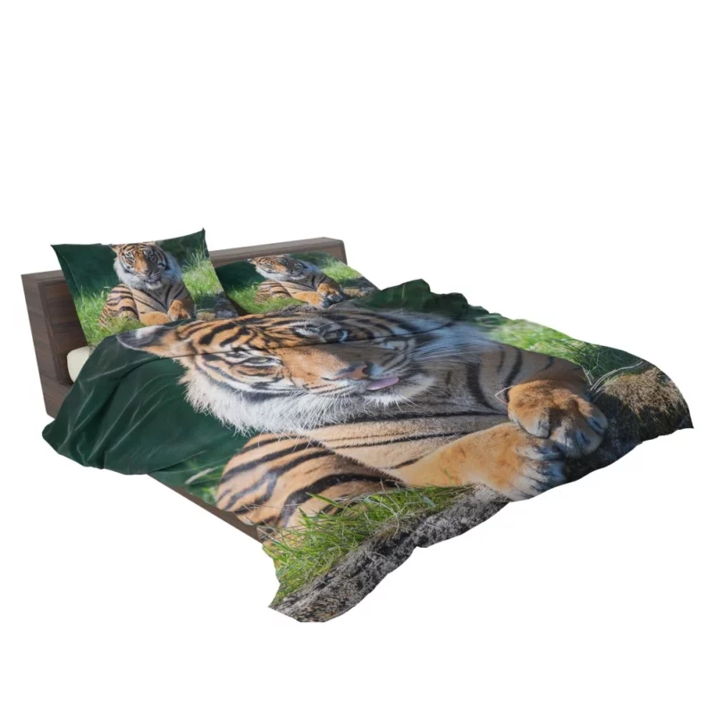 Tiger Penetrating Gaze Enigmatic Beauty Bedding Set 2