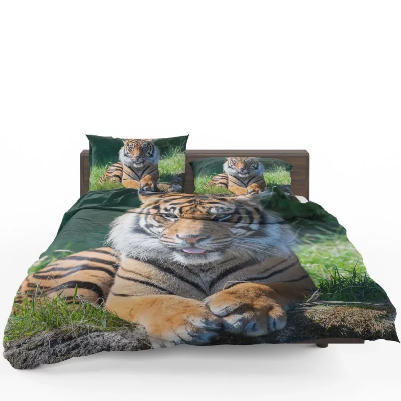 Tiger Penetrating Gaze Enigmatic Beauty Bedding Set